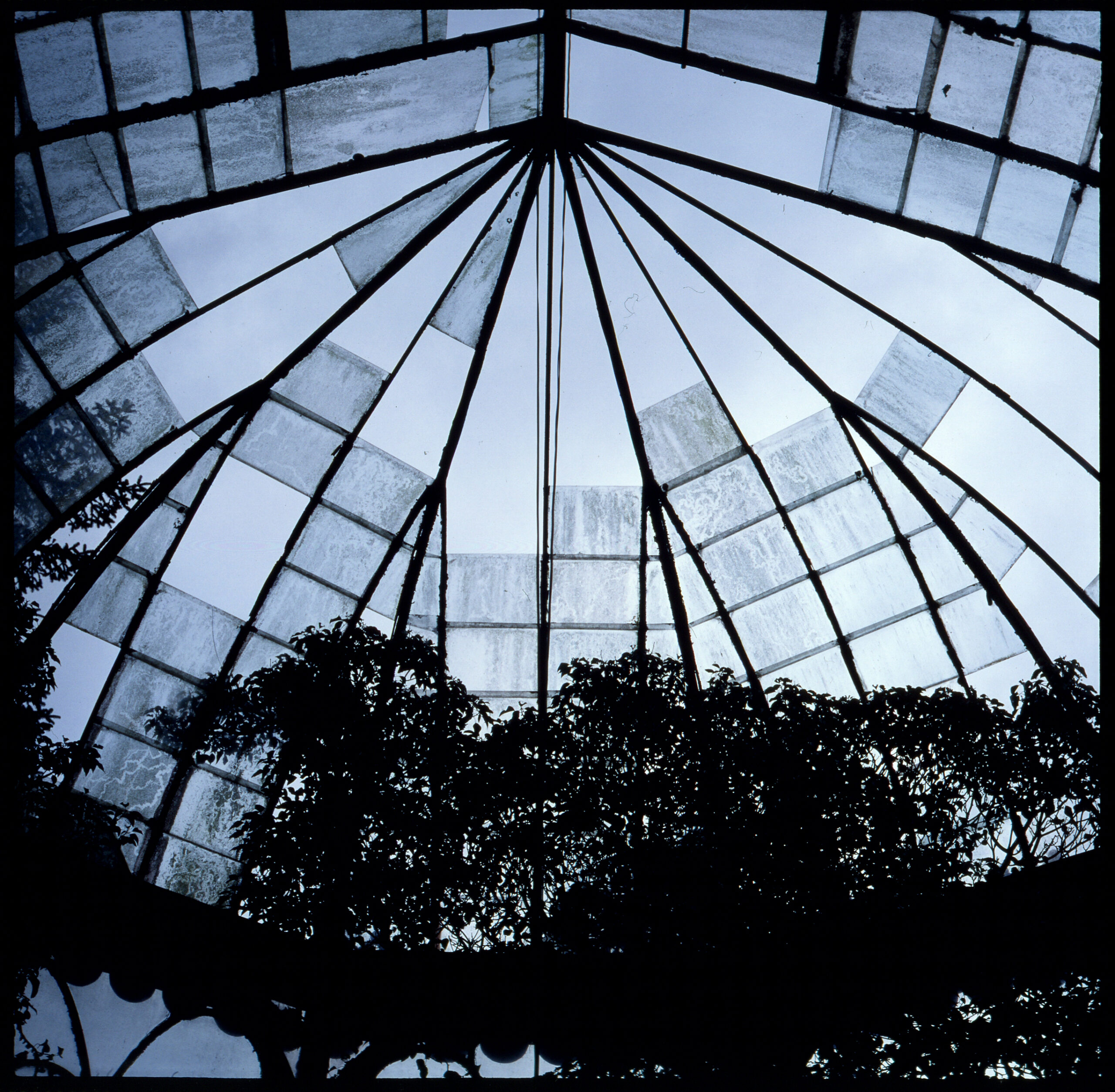 The Greenhouse